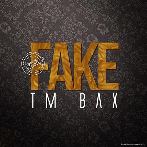 TM Bax – Fake